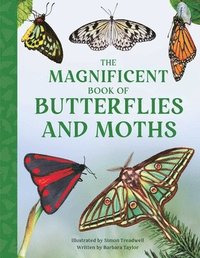 bokomslag The Magnificent Book of Butterflies and Moths