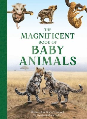 bokomslag The Magnificent Book of Baby Animals