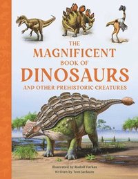 bokomslag The Magnificent Book of Dinosaurs