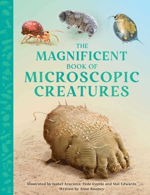 bokomslag The Magnificent Book of Microscopic Creatures