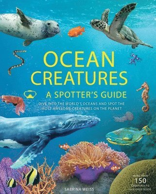 bokomslag Ocean Creatures: A Spotter's Guide