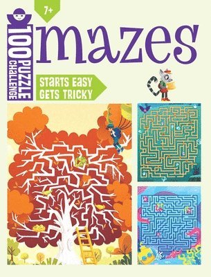 bokomslag 100 Puzzle Challenge: Mazes