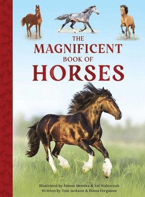 bokomslag The Magnificent Book of Horses