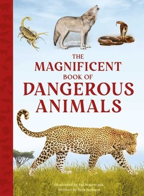 bokomslag The Magnificent Book of Dangerous Animals