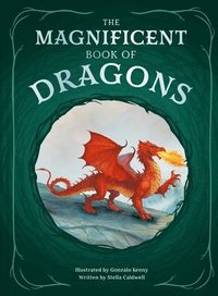 bokomslag The Magnificent Book of Dragons
