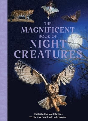 Camilla de la Bedoyere - Magnificent Book of Night Creatures, Inbunden