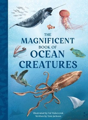 The Magnificent Book of Ocean Creatures