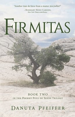 Firmitas 1