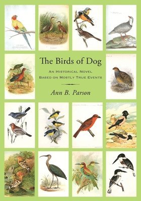 Ann B Parson, Ann B. Parson, Ann  B. Parson - Birds of Dog, Häftad