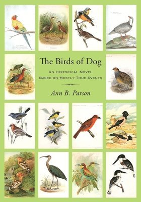 The Birds of Dog 1