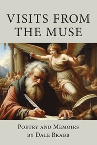bokomslag Visits from the Muse