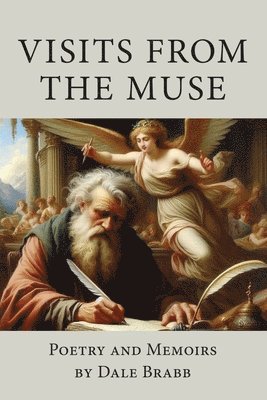 bokomslag Visits from the Muse