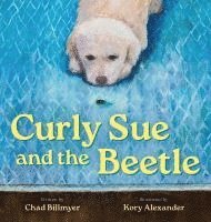 bokomslag Curly Sue and the Beetle
