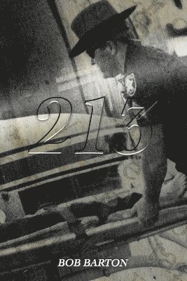bokomslag 213