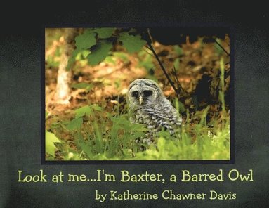 bokomslag Look at Me... I'm Baxter, a Barred Owl