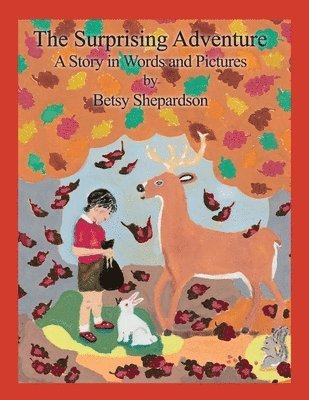 Betsy Shepardson - The Surprising Adventure: A Story in Words and Pictures, Häftad