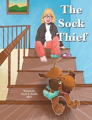 The Sock Thief 1