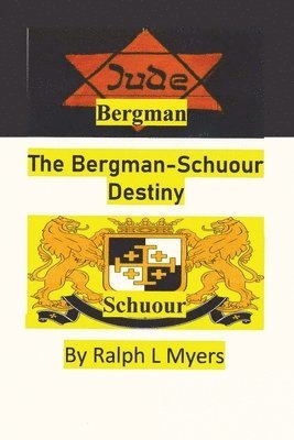 bokomslag The Bergman-Schuour Destiny