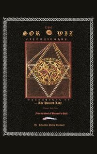 bokomslag The Sor-Wiz and the Painted Lady: Book Three of Whisper