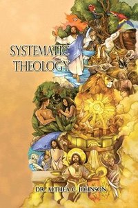 bokomslag Systematic Theology