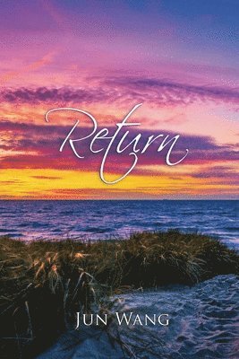 bokomslag Return