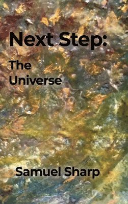 bokomslag Next Step: The Universe