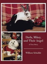 bokomslag Darla, Mikey, and Their Angel: A True Story