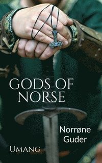 bokomslag Gods of Norse (Norrne Guder)