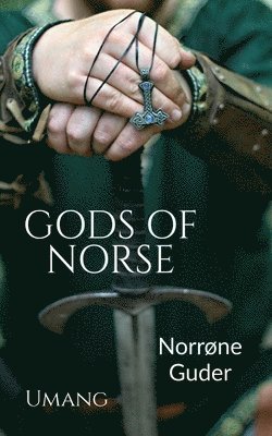 bokomslag Gods of Norse (Norrne Guder)