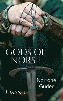 bokomslag Gods of Norse (Norrøne Guder)