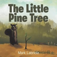 bokomslag Little Pine Tree