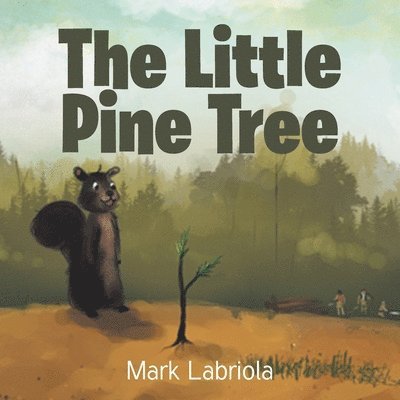 Little Pine Tree 1