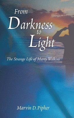bokomslag From Darkness to Light