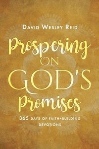 bokomslag Prospering On God's Promises
