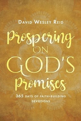 bokomslag Prospering On God's Promises