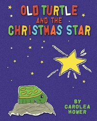bokomslag Old Turtle and the Christmas Star