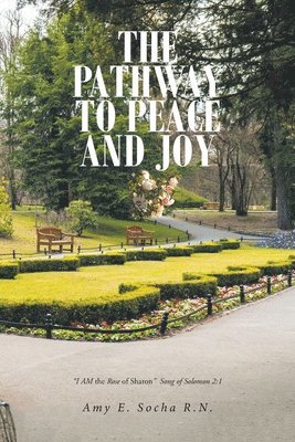 bokomslag Pathway to Peace and Joy