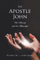 bokomslag The Apostle John