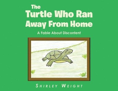 bokomslag Turtle Who Ran Away From Home
