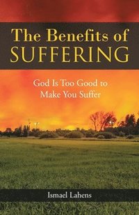 bokomslag The Benefits of Suffering