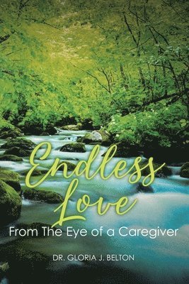 bokomslag Endless Love From The Eye of a Caregiver