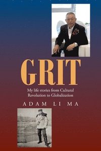 bokomslag Grit