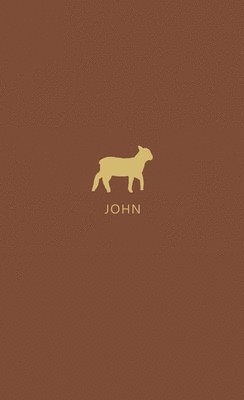 John 1