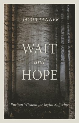 bokomslag Wait and Hope: Puritan Wisdom for Joyful Suffering