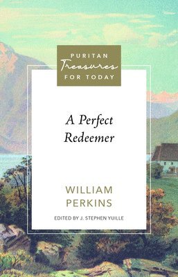 bokomslag A Perfect Redeemer