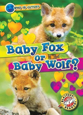 bokomslag Leaf, C: Baby Fox or Baby Wolf?