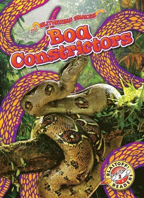 bokomslag Boa Constrictors