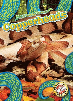 bokomslag Copperheads