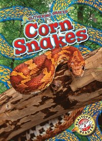 bokomslag Corn Snakes