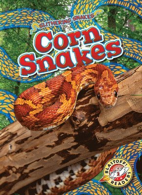 bokomslag Corn Snakes